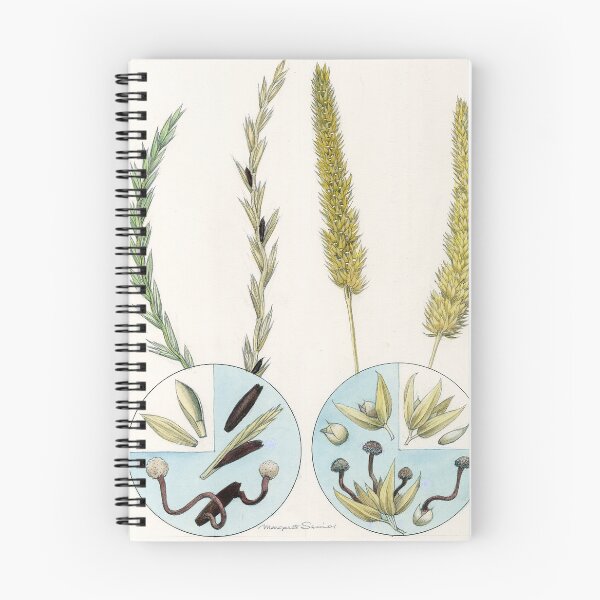 Item preview, Ergot Diseases of Grasses designed and sold by BiosecurityColl.