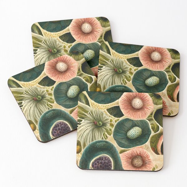 Item preview, Botanical  illustration, inspired by corals and georgia o'keeffe designed and sold by B-outfiters.