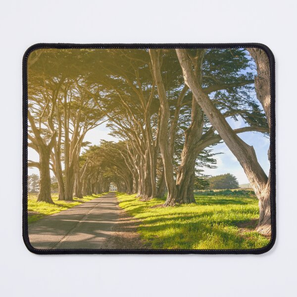 Item preview, Cypress Tunnel  designed and sold by jvnimages.