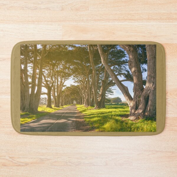 Item preview, Cypress Tunnel  designed and sold by jvnimages.
