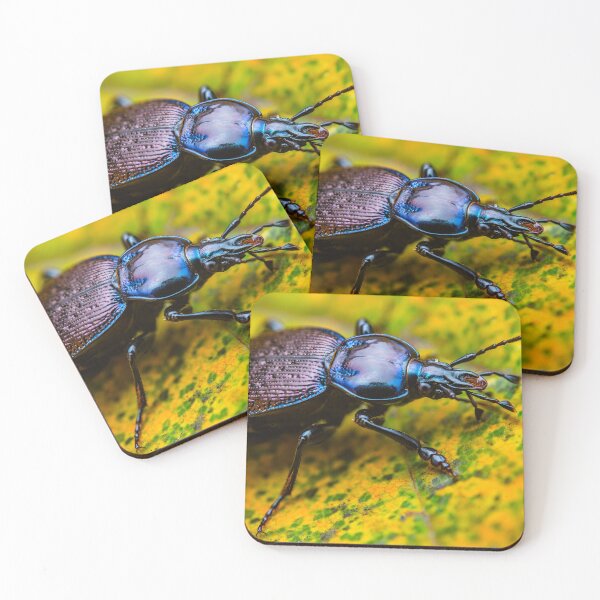 Item preview, Rain Beetle - Carabus violaceus designed and sold by AronsTinySafari.