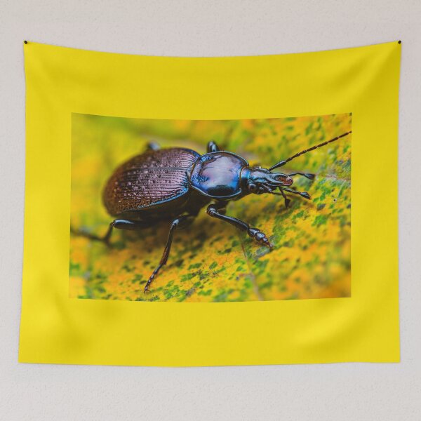 Item preview, Rain Beetle - Carabus violaceus designed and sold by AronsTinySafari.