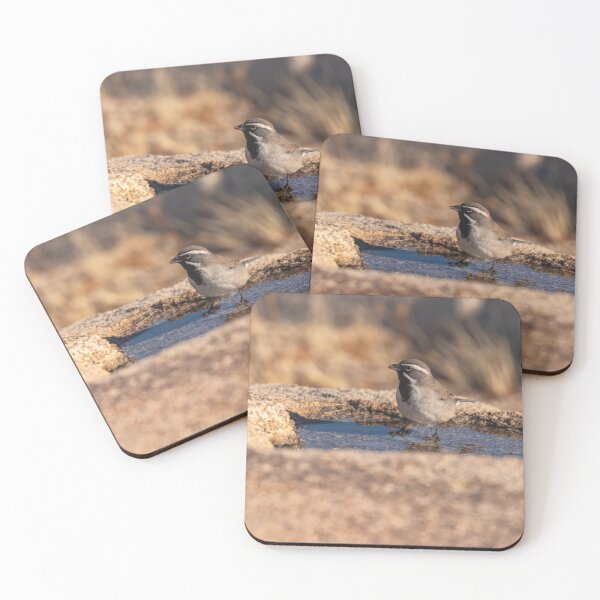 Item preview, Sparrow at Waterhole designed and sold by jvnimages.