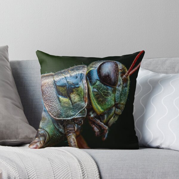 Item preview, Red-legged Grasshopper - Melanoplus femurrubrum designed and sold by AronsTinySafari.