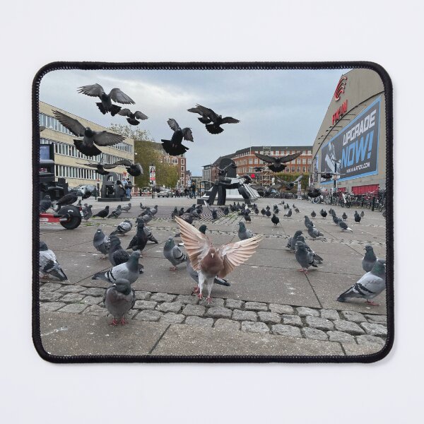Item preview, Pigeons • Forum Copenhagen • 2022 designed and sold by Mortinus.