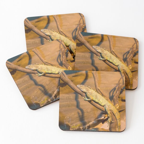Item preview, Green iguana lying on the branch designed and sold by lena-maximova.
