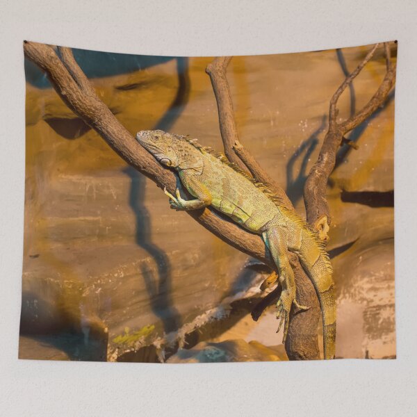 Item preview, Green iguana lying on the branch designed and sold by lena-maximova.