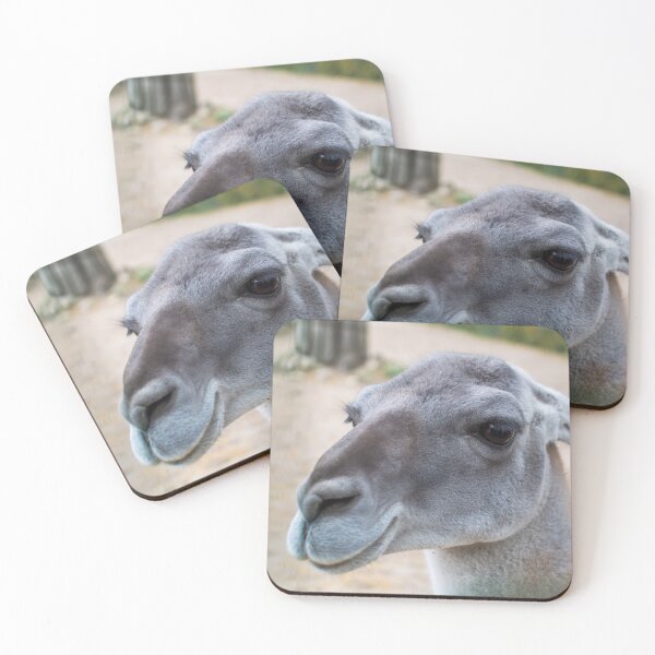 Item preview, Portrait of the Guanaco designed and sold by lena-maximova.