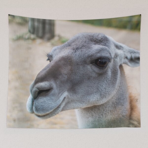 Item preview, Portrait of the Guanaco designed and sold by lena-maximova.