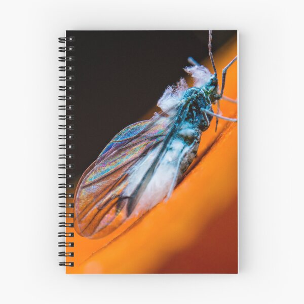 Item preview, Adult Woolly Aphid - Eriosomatinae designed and sold by AronsTinySafari.