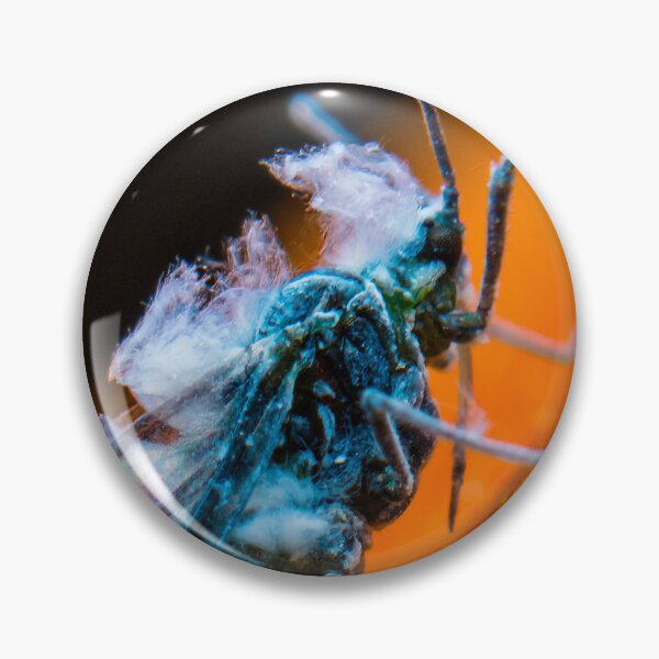 Item preview, Adult Woolly Aphid - Eriosomatinae designed and sold by AronsTinySafari.