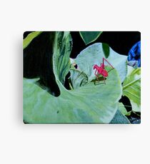 I am, a Pink Grasshopper Canvas Print