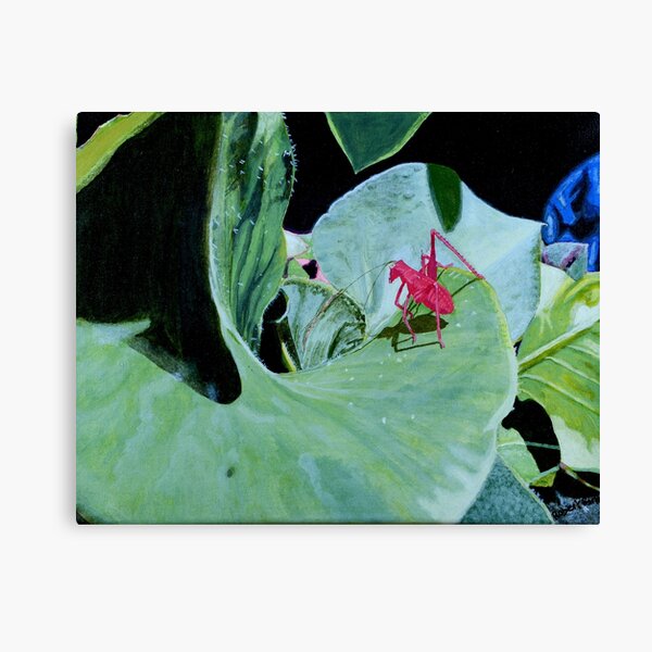 I am, a Pink Grasshopper Canvas Print