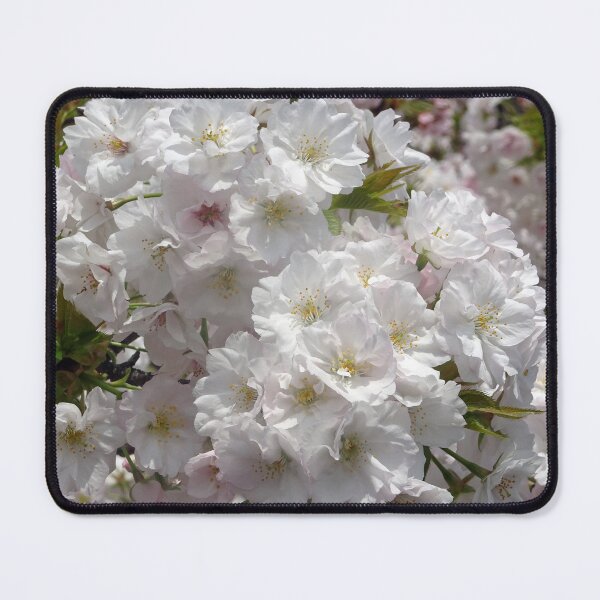 Item preview, Almost white sakura at the Osaka Mint in Japan designed and sold by cuisinecat2.