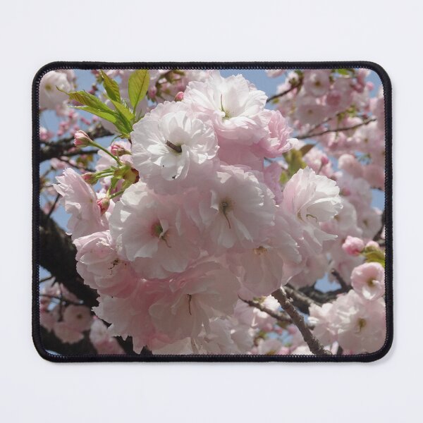 Item preview, Pale pink sakura in Osaka designed and sold by cuisinecat2.