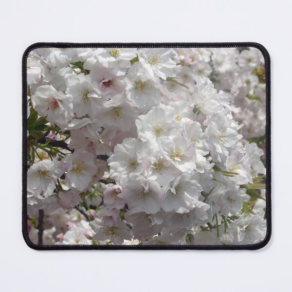 Item preview, Pale pink cherry blossoms in Osaka designed and sold by cuisinecat2.