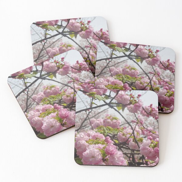 Item preview, Osaka Sakura japan designed and sold by cuisinecat2.