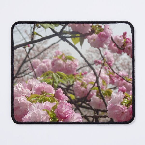 Item preview, Osaka Sakura japan designed and sold by cuisinecat2.