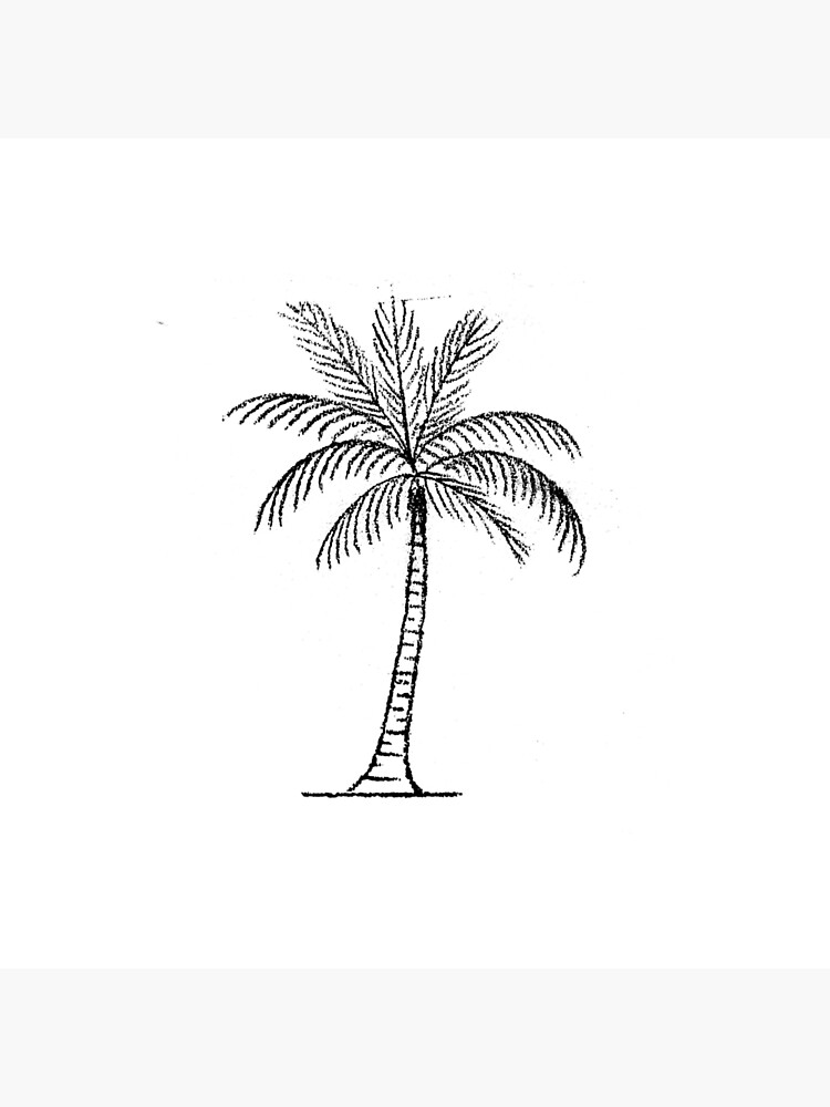 Palm tree tattoos Find your paradise 88 Ideas  Inkbox