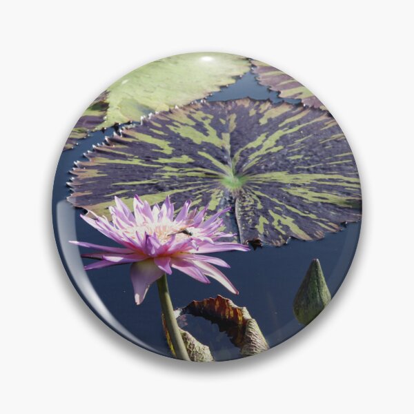 Item preview, Lovely Lily Pad designed and sold by MooseDogPhotos.