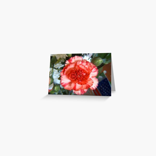Carnation Greeting Card