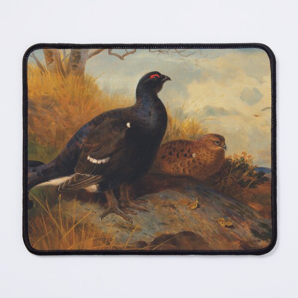 Item preview, Blackgame on a Rocky Outcrop, with a Loch Beyond | Archibald Thorburn | Bird Art designed and sold by CJET.