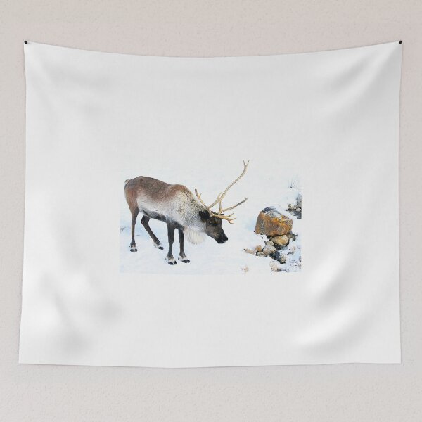 Item preview, Beautiful Caribou designed and sold by vette.