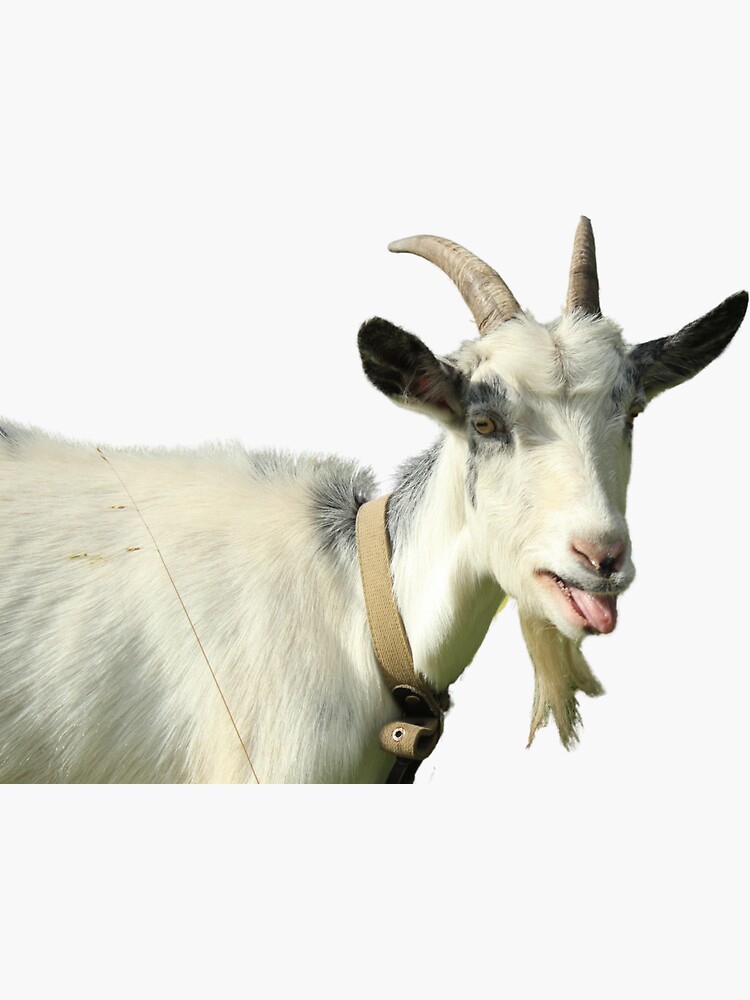 Funny Goat - Goatbusters | Sticker