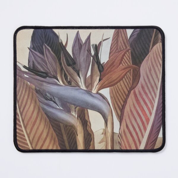 Aperçu de l'œuvre Aquarelle vintage représentant un oiseau de paradis recolorée créée et vendue par Hybridized.