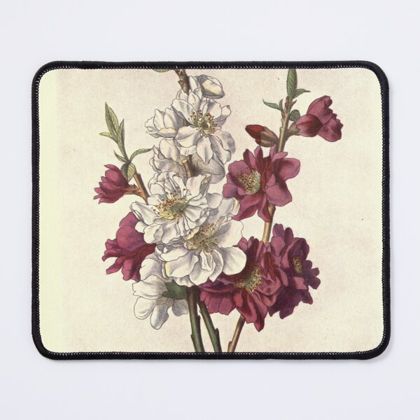 Item preview, Peach Blossom - Prunus persica designed and sold by AlleghenyDesign.