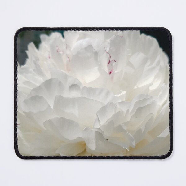 Item preview, White Peony designed and sold by Diane Petker.