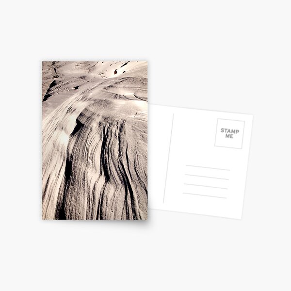 Frozen Wind Postcard