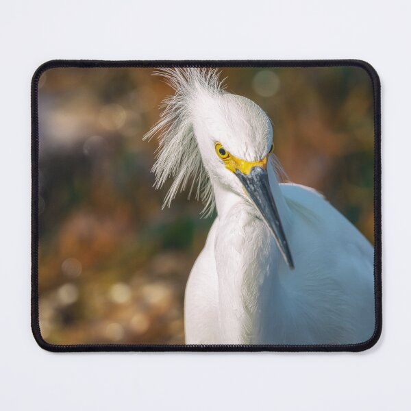 Item preview, Snowy Egret designed and sold by jvnimages.