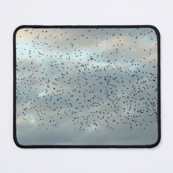 Item preview,  Murmuration Starlings Flock of birds designed and sold by Anna Lemos.