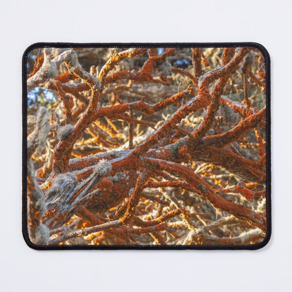 Item preview, Green Algae  designed and sold by jvnimages.