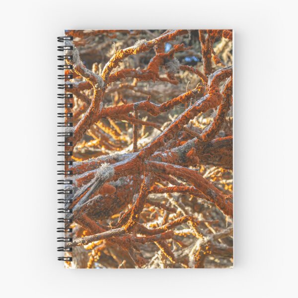 Item preview, Green Algae  designed and sold by jvnimages.