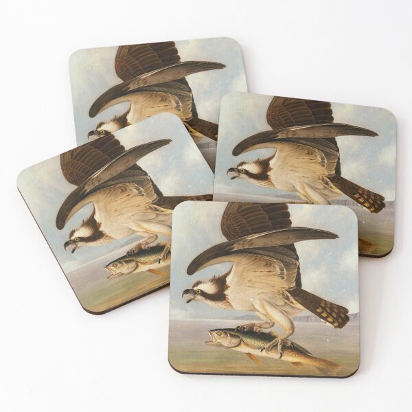 Item preview, Osprey and Weakfish | John James Audubon | 1829 Nature Art designed and sold by CJET.