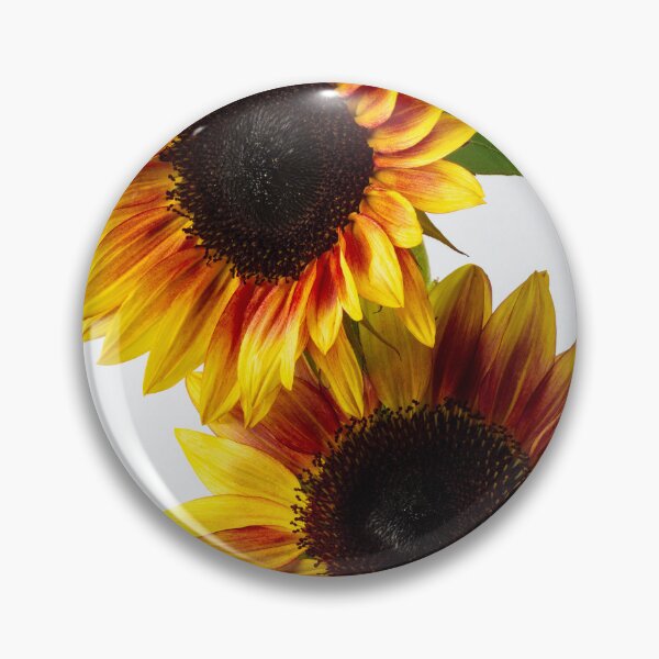 Item preview, Two Striking Yellow And Orange Sunflowers designed and sold by Garry Gay.