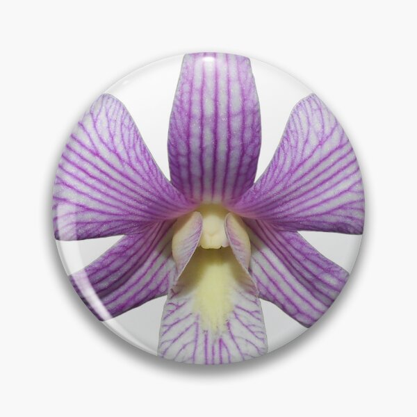 Item preview, Dendrobium orchid Candy Stripe  designed and sold by Floral-Art.