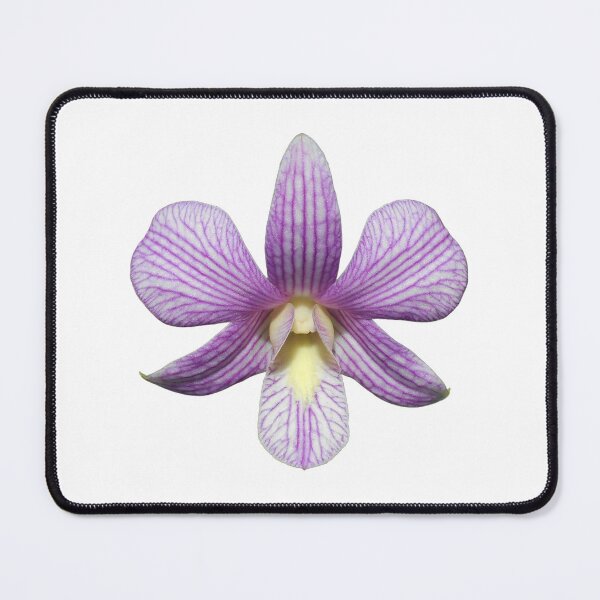 Item preview, Dendrobium orchid Candy Stripe designed and sold by Floral-Art.