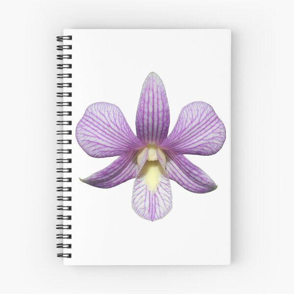 Item preview, Dendrobium orchid Candy Stripe  designed and sold by Floral-Art.