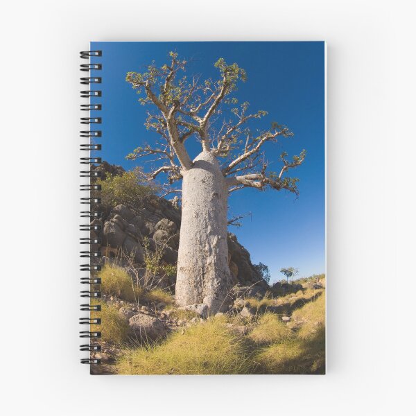 Item preview, kimberley boab tree designed and sold by col hellmuth.