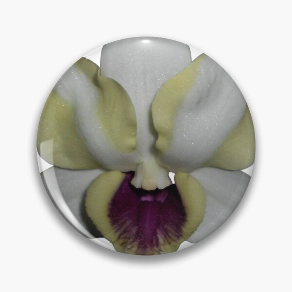 Item preview, Dendrobium Orchid Hybrid designed and sold by Floral-Art.
