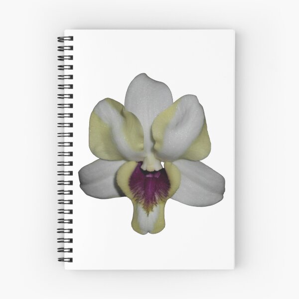 Item preview, Dendrobium Orchid Hybrid designed and sold by Floral-Art.