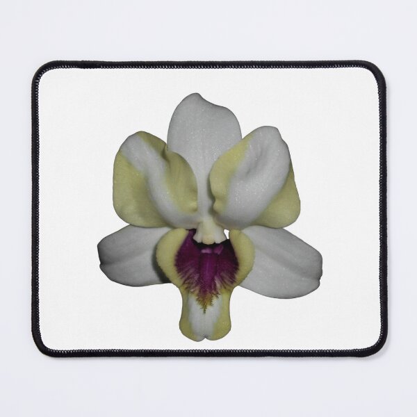 Item preview, Dendrobium Orchid Hybrid designed and sold by Floral-Art.