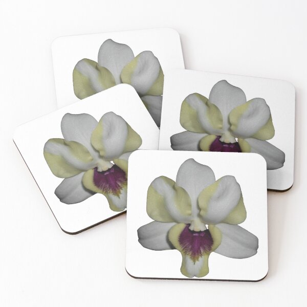 Item preview, Dendrobium Orchid Hybrid designed and sold by Floral-Art.