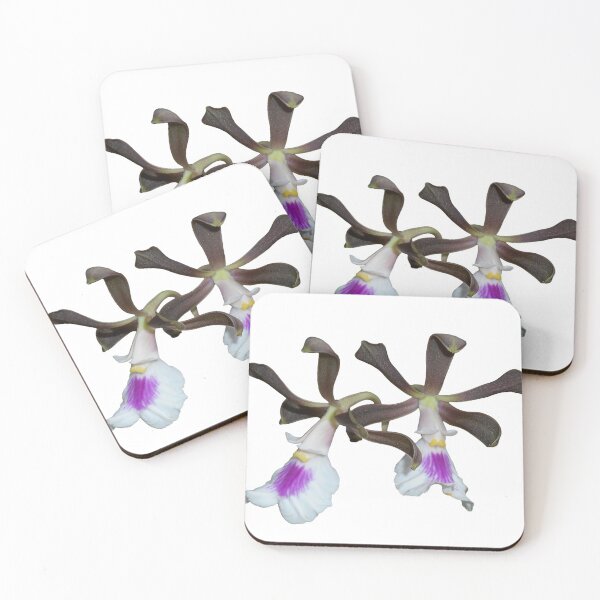 Item preview, Encyclia cordigera orchid designed and sold by Floral-Art.