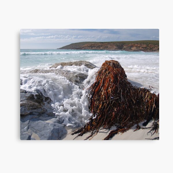 Item preview, point ann, western australia designed and sold by col hellmuth.