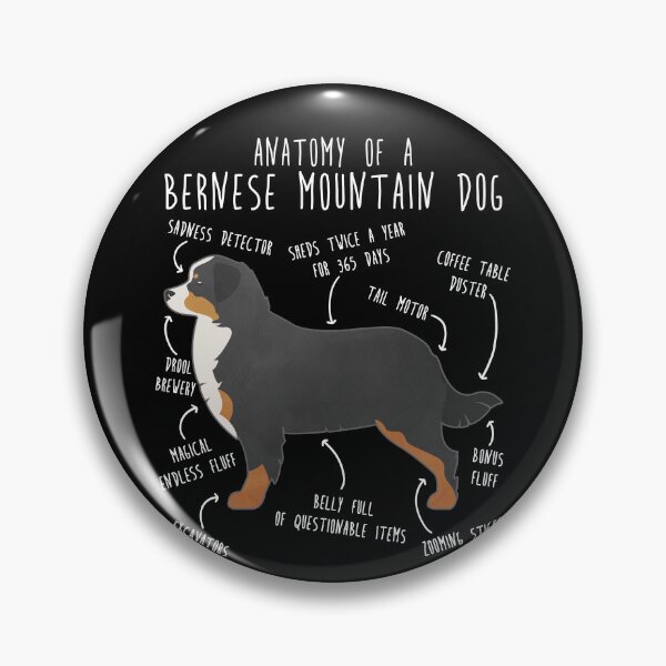 Item preview, Bernese Mountain Dog Anatomy designed and sold by Clara Hollins.