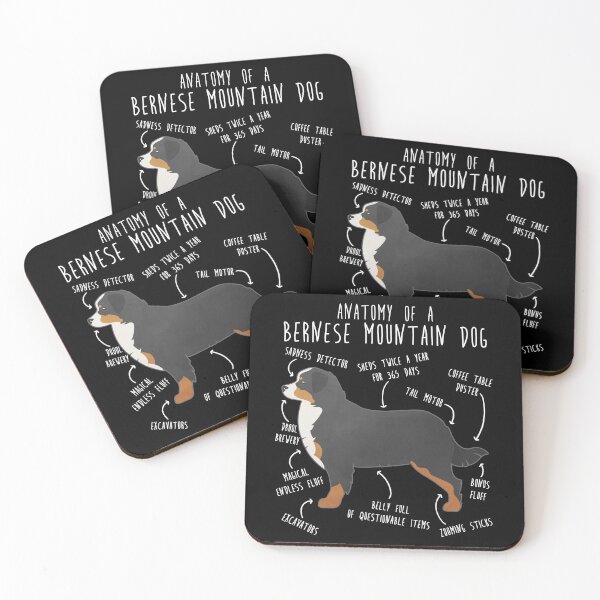 Item preview, Bernese Mountain Dog Anatomy designed and sold by Clara Hollins.